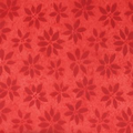 Red Poinsettia Watermark Reflections Sheet Tissue Paper